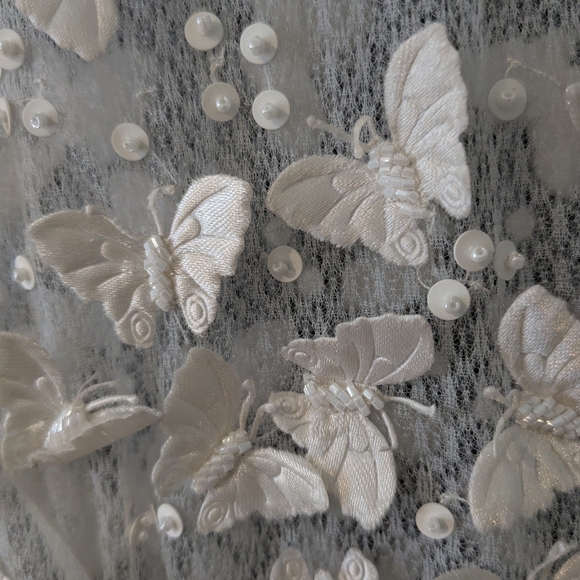 BHLDN White Sheer Butterfly Lace Bodice Wedding Dress Size 10 - Picture 9 of 12